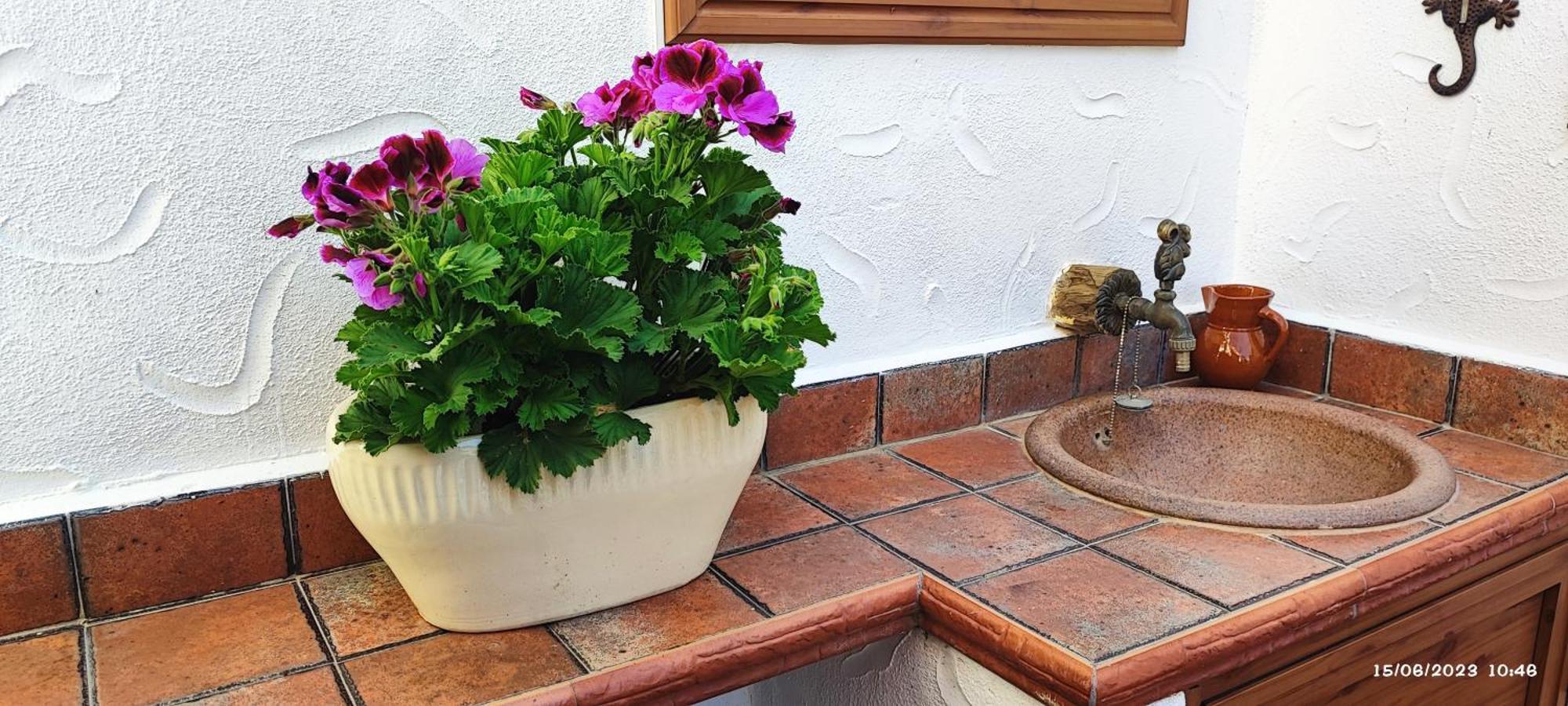 アデヘ La Casa De Conchitaヴィラ エクステリア 写真